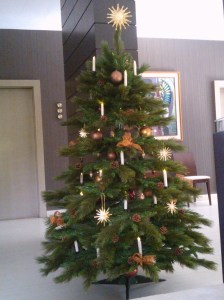 Unser Baum 20014
