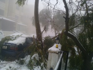 Nachbars Auto steht leider immer noch. Das war also der Krach wie Tuerenschlagen
