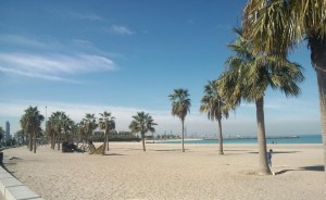 Im Hintergrund Kuwait City