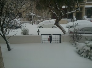 2015-02-20 Seiteneingang