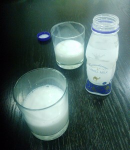 Camelmilch