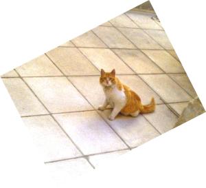 Nummer 3, will nur fressen