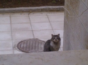 Nummer 4 spickt ums Eck