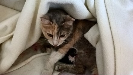 WP_20170403_15_08_20_Pro_LI